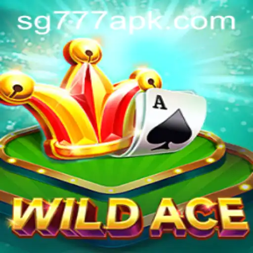 Unveiling the Thrills of WildAce: A Modern Gaming Experience